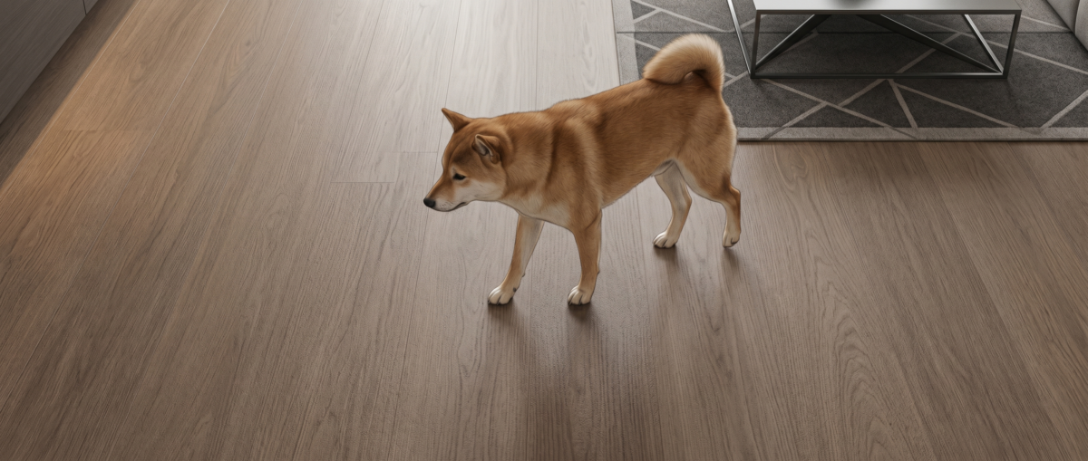 滑り止めコーティングの床で安定して歩く犬のイメージ
