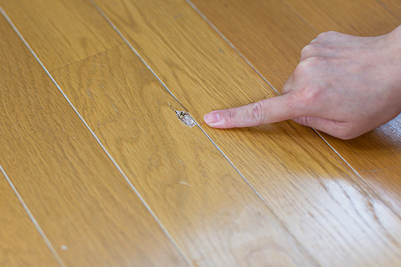 フロアコーティングの確認