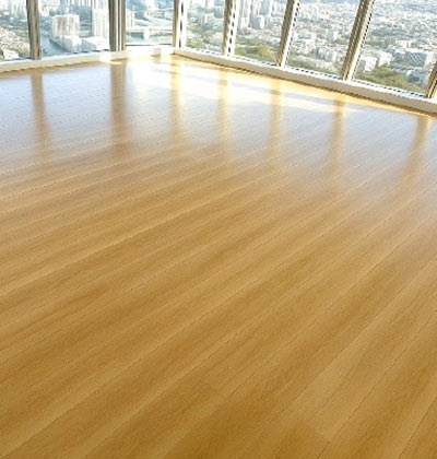 ワンニャンすべらんコーティング