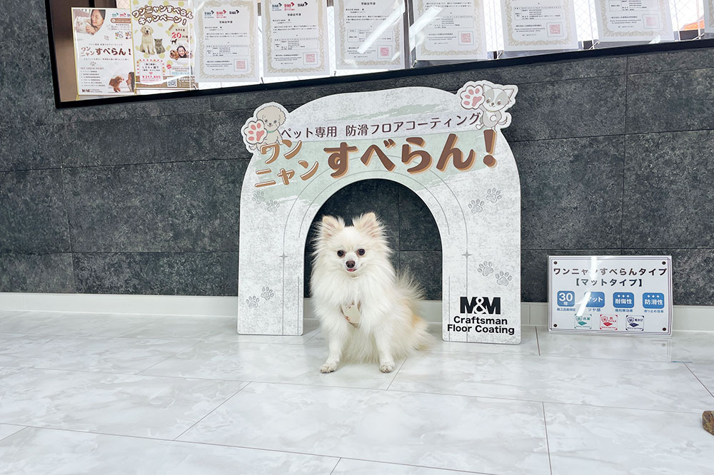 フロアコーティングショールームイメージ