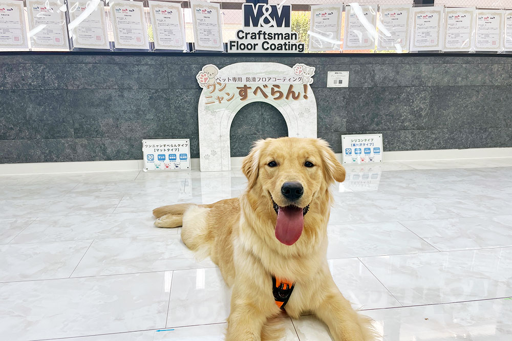フロアコーティングショールームイメージ