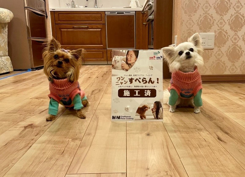 ワンニャンすべらんフロアコーティング施工後