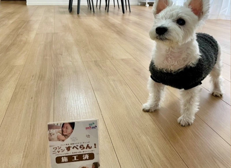 ワンニャンすべらんフロアコーティング施工後