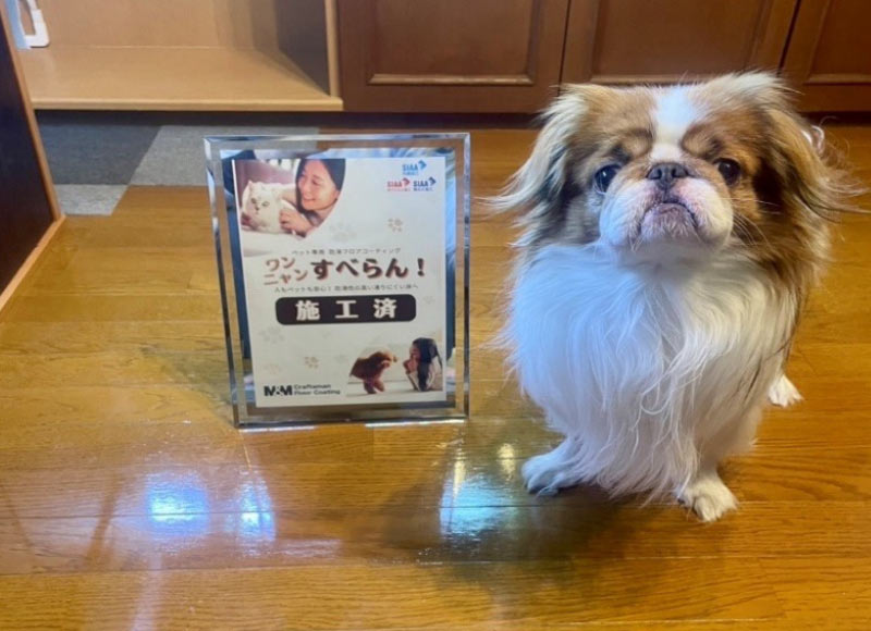 ワンニャンすべらんフロアコーティング施工後