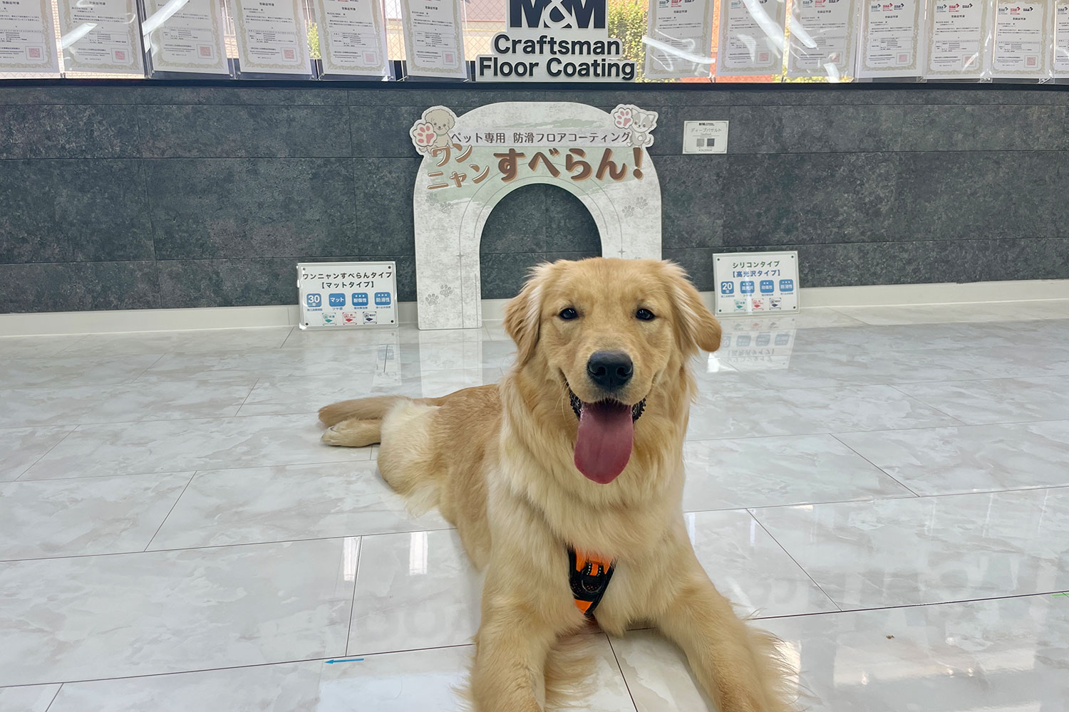 フロアコーティングショールームイメージ