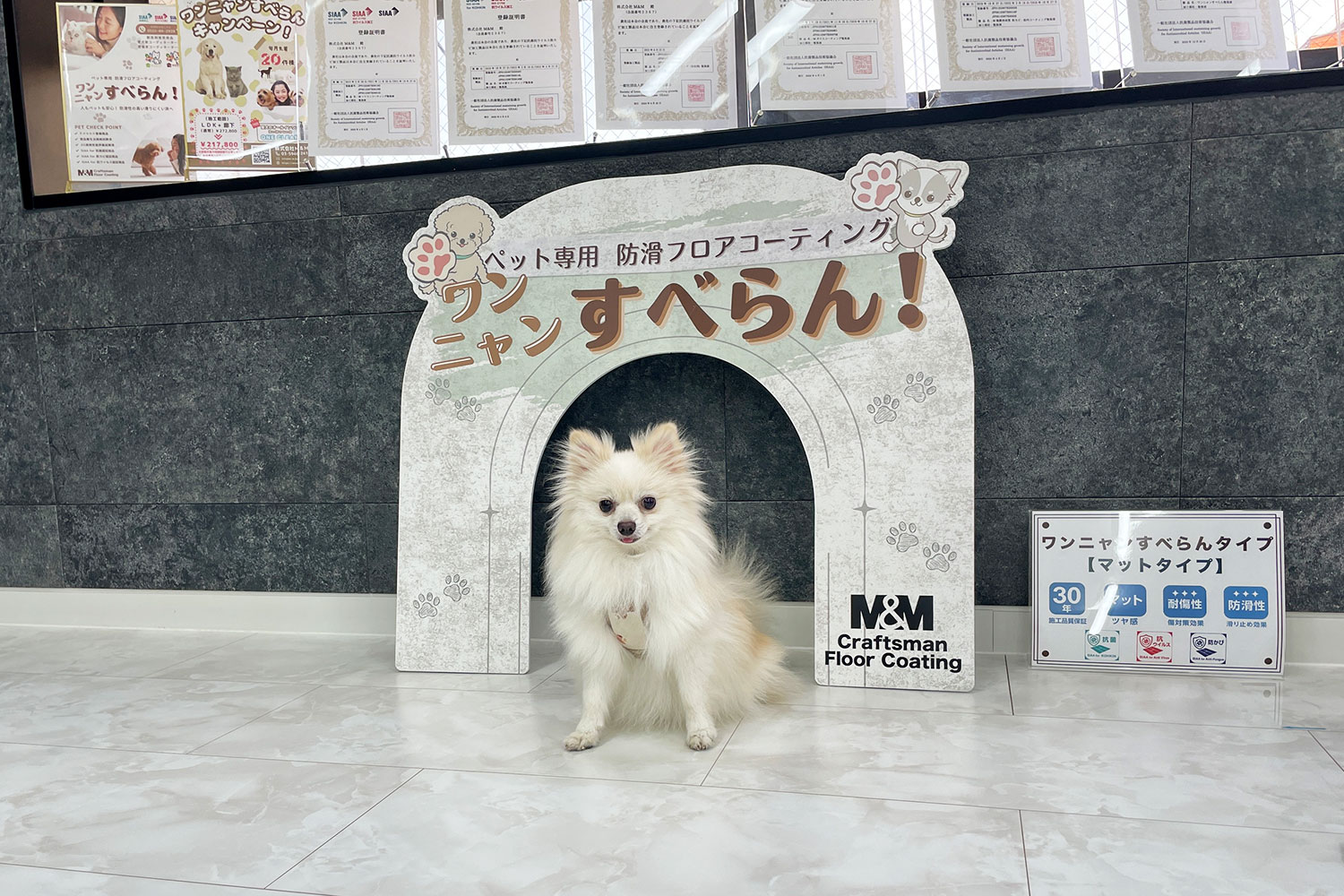 フロアコーティングショールームイメージ